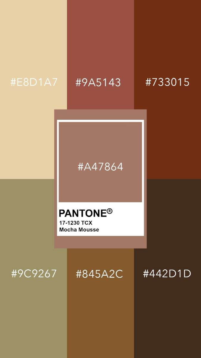 mocha colour combinations